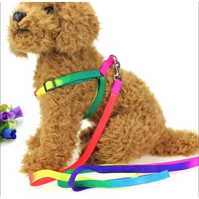 Super Value Pride Rainbow Webbing Puppy Small Dog Harness and Lead Set