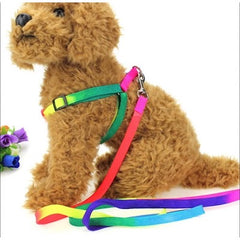 Super Value Pride Rainbow Webbing Puppy Small Dog Harness and Lead Set