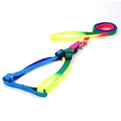 Super Value Pride Rainbow Webbing Puppy Small Dog Harness and Lead Set