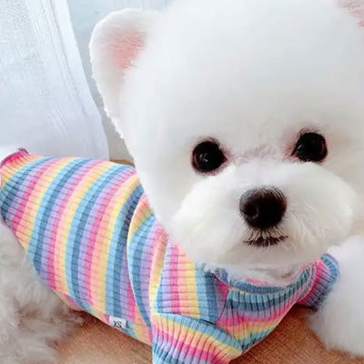 Small Dog Rainbow Pastels Ribbed Turtleneck Lightweight Undershirt Jumper