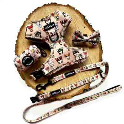 Smart Little Paws Limited Edition Designer Harness by My Chi and Me