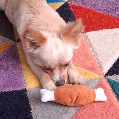 Chicken Drumstick Chihuahua or Small Dog Plush Toy with Squeaker