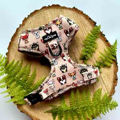 Smart Little Paws Limited Edition Designer Harness by My Chi and Me