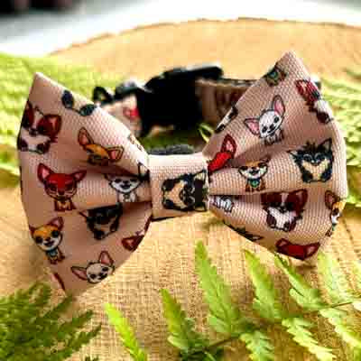 Stone Chihuahua Print Exclusive Designer Bow Tie by My Chi and Me