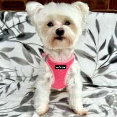 Tiny Trails Step In Air Mesh Puppy and Small Dog Harness Pink