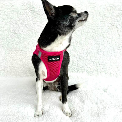 Tiny Trails Step In Air Mesh Puppy and Small Dog Harness Hot Pink