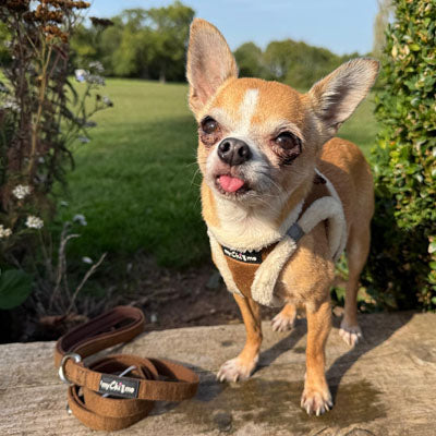 Tiny Trails Step In Soft Touch Suede Effect Faux Fur Lined Puppy and Small Dog Harness Mocha