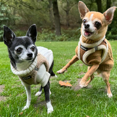 Tiny Trails Step In Soft Touch Suede Effect Faux Fur Lined Puppy and Small Dog Harness Mocha