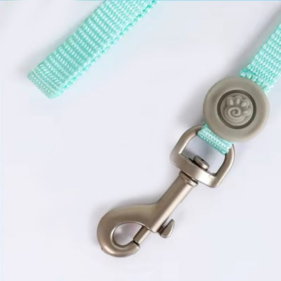 Tiny Trainer Chihuahua Puppy XXXS Harness Lead Set Pastel Aqua Premium Webbing
