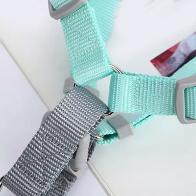 Tiny Trainer Chihuahua Puppy XXXS Harness Lead Set Pastel Aqua Premium Webbing