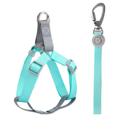 Tiny Trainer Chihuahua Puppy XXXS Harness Lead Set Pastel Aqua Premium Webbing