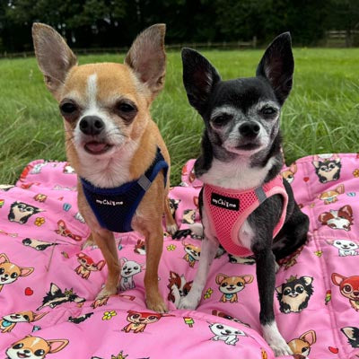 Tiny Trails Step In Air Mesh Puppy and Small Dog Harness Pink Navy