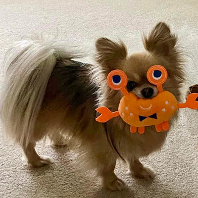 Crab Small Dog Plush Toy with Squeaker Orange