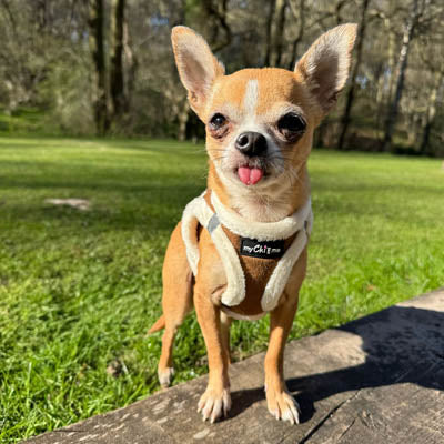 Tiny Trails Step In Soft Touch Suede Effect Faux Fur Lined Puppy and Small Dog Harness in Mocha by My Chi and Me