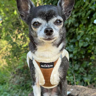 Tiny Trails Step In Soft Touch Suede Effect Faux Fur Lined Puppy and Small Dog Harness Aviator