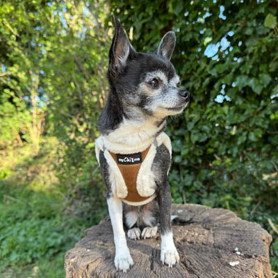 Tiny Trails Step In Soft Touch Suede Effect Faux Fur Lined Puppy and Small Dog Harness Aviator