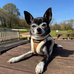 Tiny Trails Step In Soft Touch Suede Effect Faux Fur Lined Puppy and Small Dog Harness in Mocha by My Chi and Me