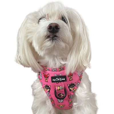 Pretty Little Paws Chihuahua Print Exclusive Designer Harness by My Chi and Me