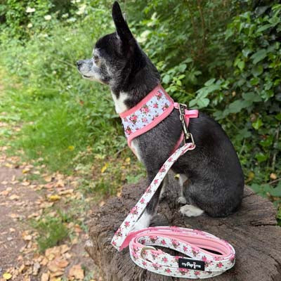 Luxury White Vintage Floral Lead by My Pup and Me