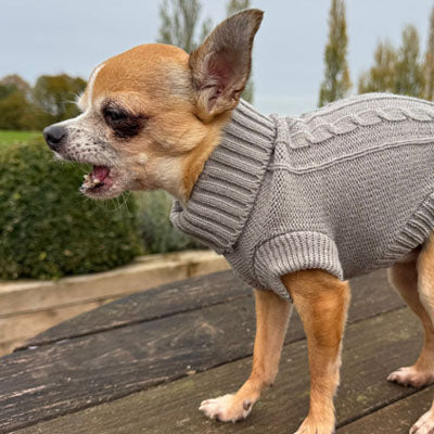 Small Dog Soft Cable Jumper Grey 6 Sizes