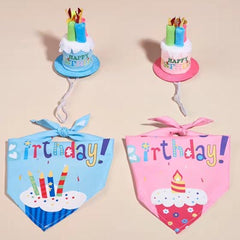 Small Birthday Hat for Chihuahua Puppy or Small Dog Blue or Pink