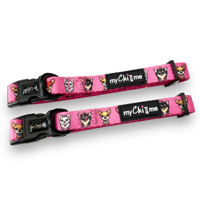 Pretty Little Paws Chihuahua Print Exclusive Designer Collar by My Chi and Me