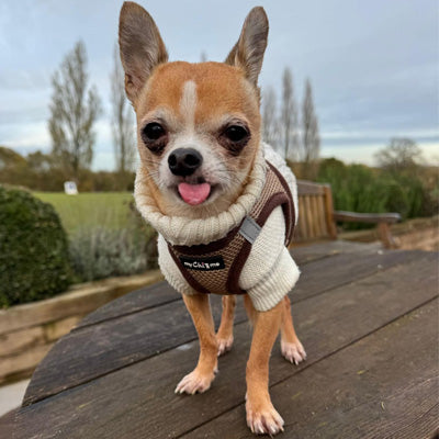 Tiny Trails Step In Air Mesh Puppy and Small Dog Harness Chocolate Caramel
