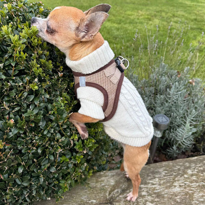 Tiny Trails Step In Air Mesh Puppy and Small Dog Harness Chocolate Caramel