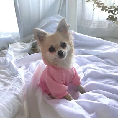 Hoodie Style Sweatshirt Small to Medium Breed Dog 6 Colours