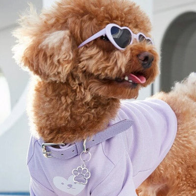Heart Shaped Small Dog Sunglasses Lilac Bon Bon