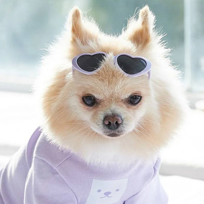 Heart Shaped Small Dog Sunglasses Lilac Bon Bon