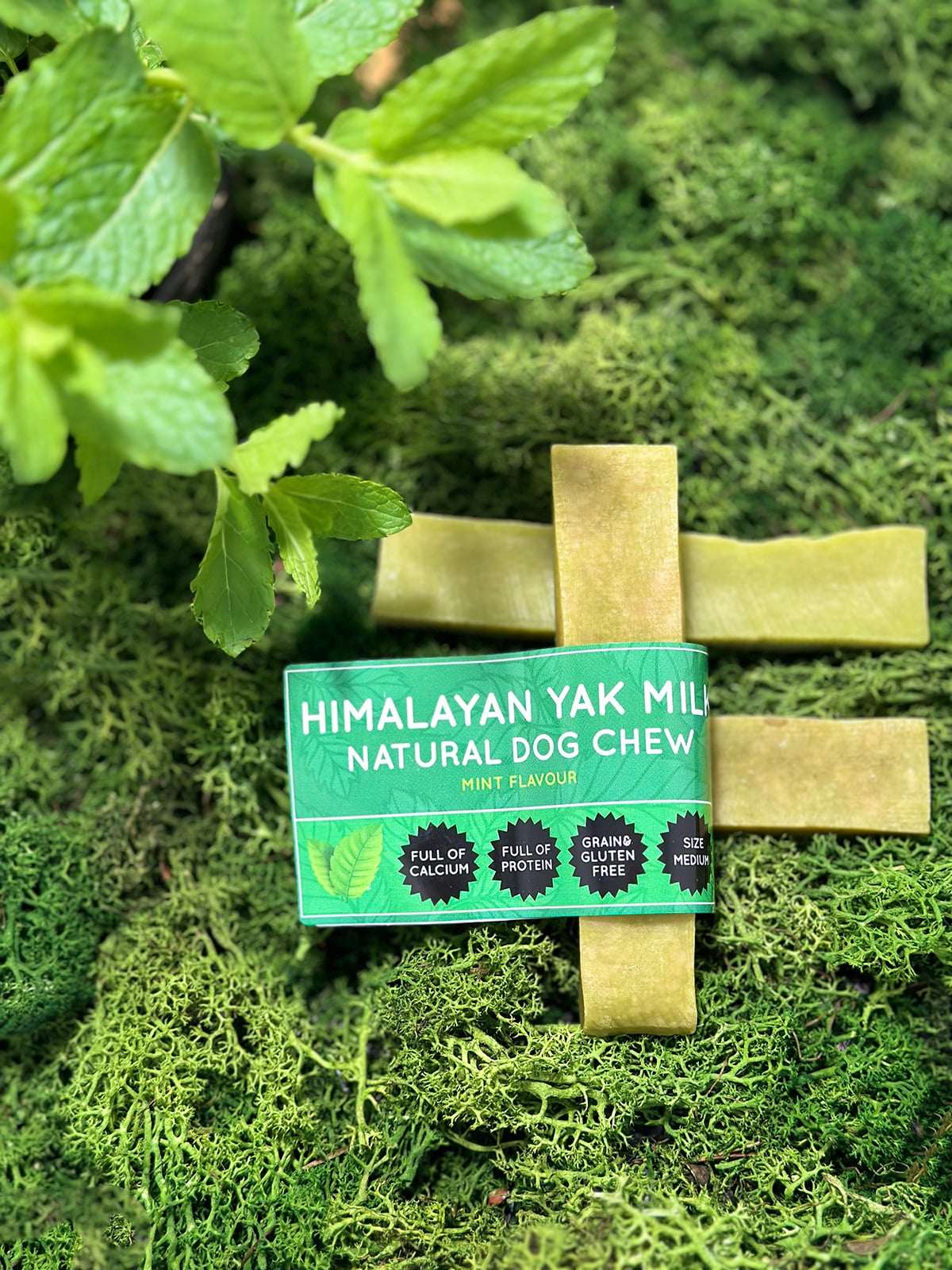 Mint Yak Dog Chew