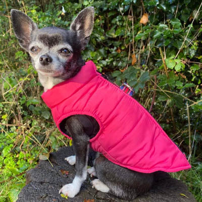 Lightweight Gilet Style Chihuahua or Small Dog Puffa Coat Hot Pink
