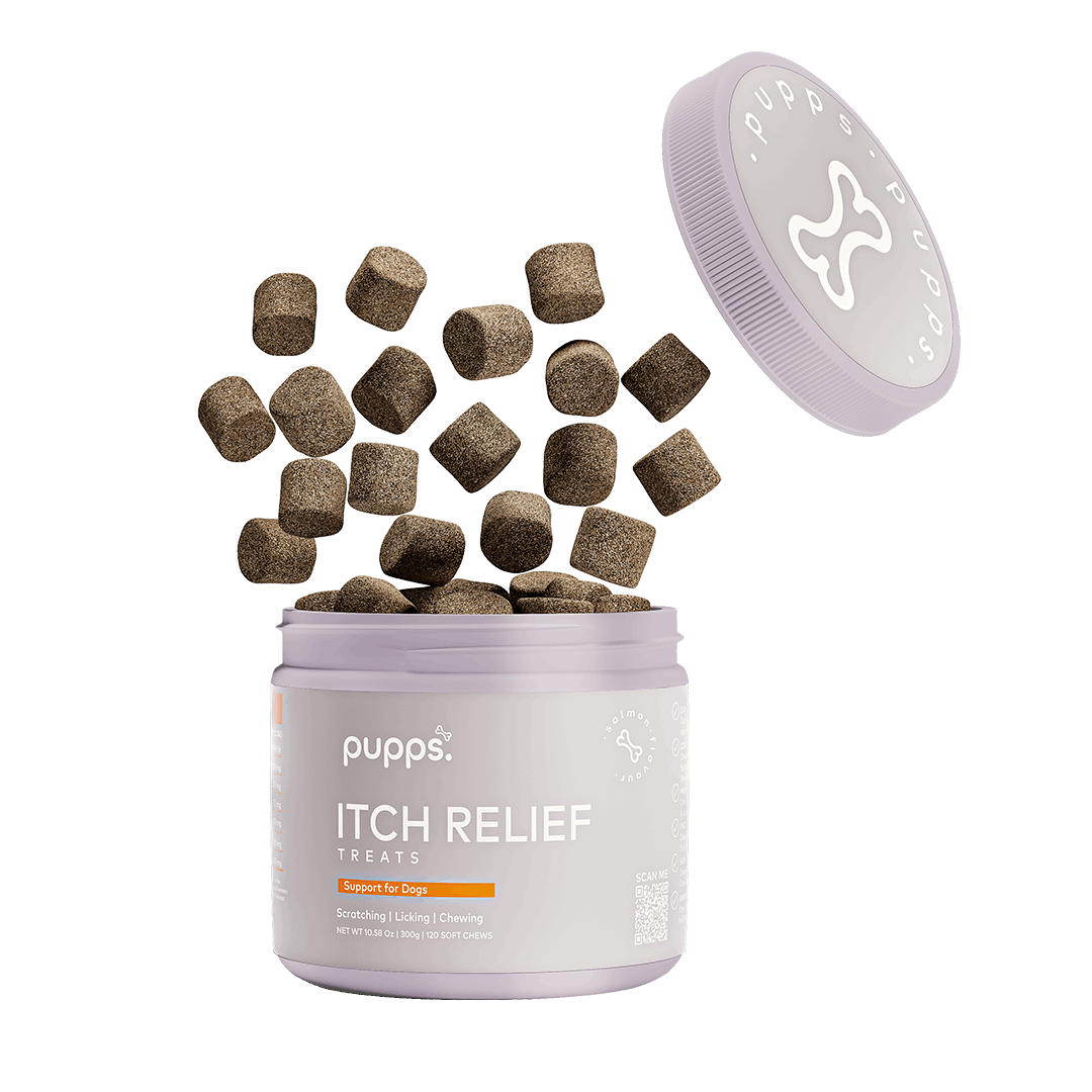 Itch Relief Treats
