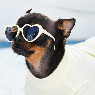 Heart Shaped Small Dog Sunglasses Vanilla Cupcake
