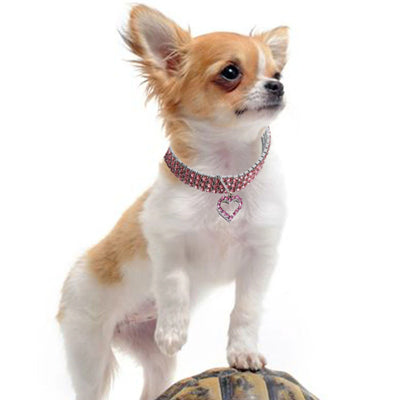 Verity Premium Bling Chihuahua Small Dog Necklace Faux Crystal Collar