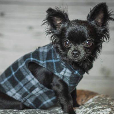 Small Dog Lightweight Fleece Jumper with D Rings For Leash Black and Grey Check