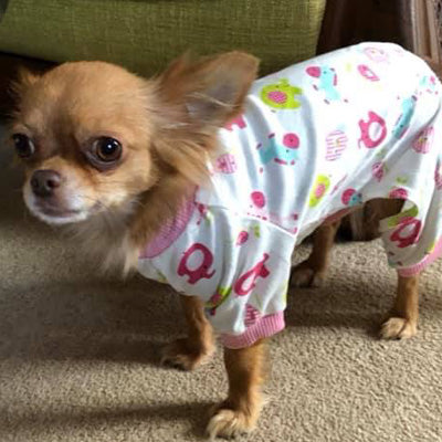 Chihuahua Small Dog Pyjamas Onesie Style Owls Horses Elephants Print Cotton Pink - My Chi and Me