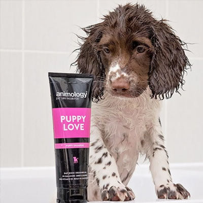 Animology Puppy Love Mild Shampoo for All Breeds 250ml