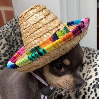 Small Dog Chihuahua Mexican Sombrero Hat Chihuahua Clothes and Accessories at My Chi and Me