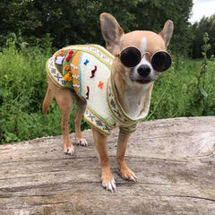 Small Dog Sunglasses Chihuahuas Shades 8 COLOURS - My Chi and Me