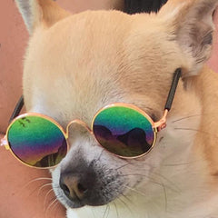 Small Dog Sunglasses Chihuahuas Shades 8 COLOURS - My Chi and Me