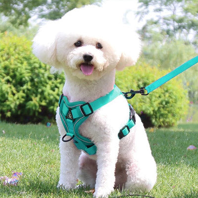 Tough 4 Point Adjustable Slipover Treks & Trails Action Harness Lead Set Aquamarine