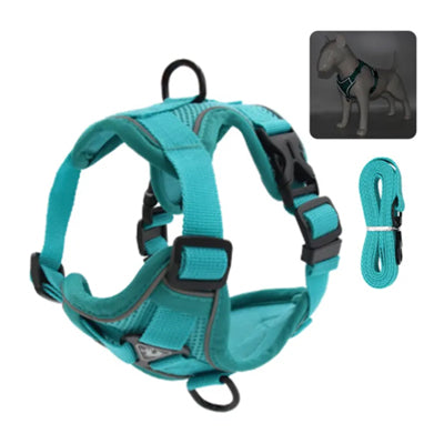 Tough 4 Point Adjustable Slipover Treks & Trails Action Harness Lead Set Aquamarine