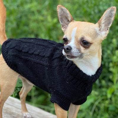 Small Dog Chihuahua Soft Black Cable Knit Puppy Jumper 5 SIZES Chihuahua Clothes and Accessories at My Chi and Me