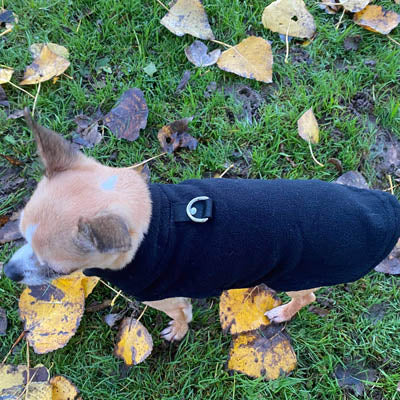 Chihuahua or Small Dog Fleece Jumper with D Rings For Leash Black
