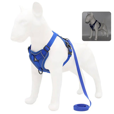 Tough 4 Point Adjustable Slipover Treks & Trails Action Harness Lead Set Atlantic Blue
