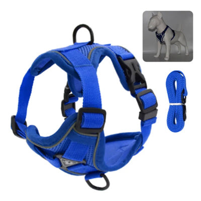 Tough 4 Point Adjustable Slipover Treks & Trails Action Harness Lead Set Atlantic Blue