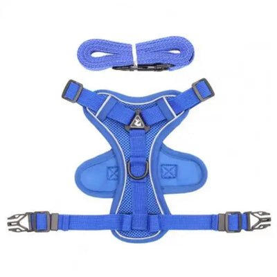 Tough 4 Point Adjustable Slipover Treks & Trails Action Harness Lead Set Atlantic Blue