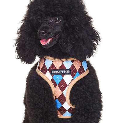 Argyle Brown Blue and Aqua Harness by Urban Pup - My Chi and Me